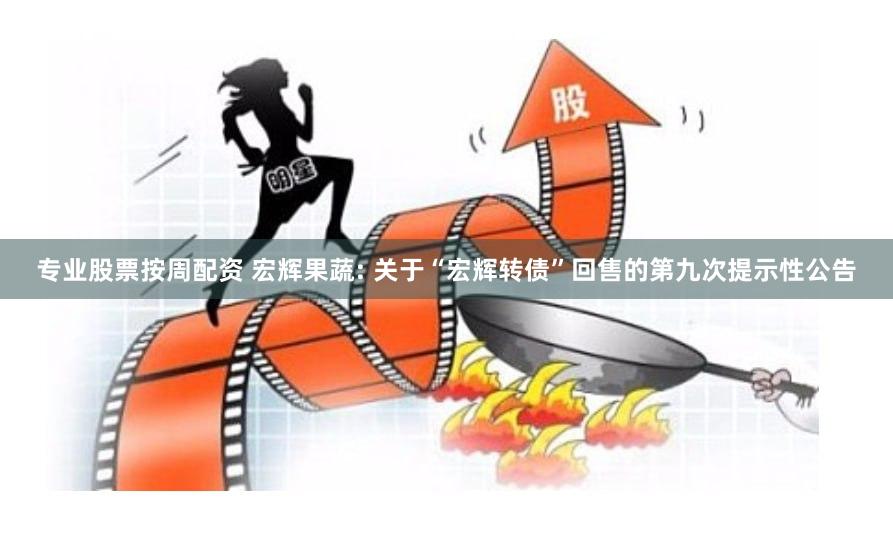 专业股票按周配资 宏辉果蔬: 关于“宏辉转债”回售的第九次提示性公告