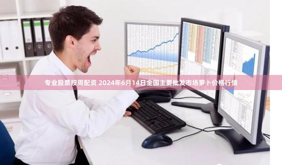 专业股票按周配资 2024年6月14日全国主要批发市场萝卜价格行情