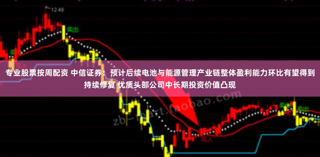 专业股票按周配资 中信证券：预计后续电池与能源管理产业链整体盈利能力环比有望得到持续修复 优质头部公司中长期投资价值凸现