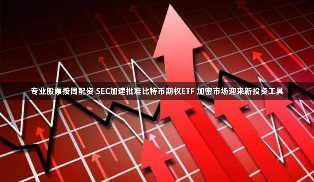 专业股票按周配资 SEC加速批准比特币期权ETF 加密市场迎来新投资工具