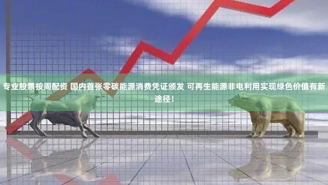 专业股票按周配资 国内首张零碳能源消费凭证颁发 可再生能源非电利用实现绿色价值有新途径！