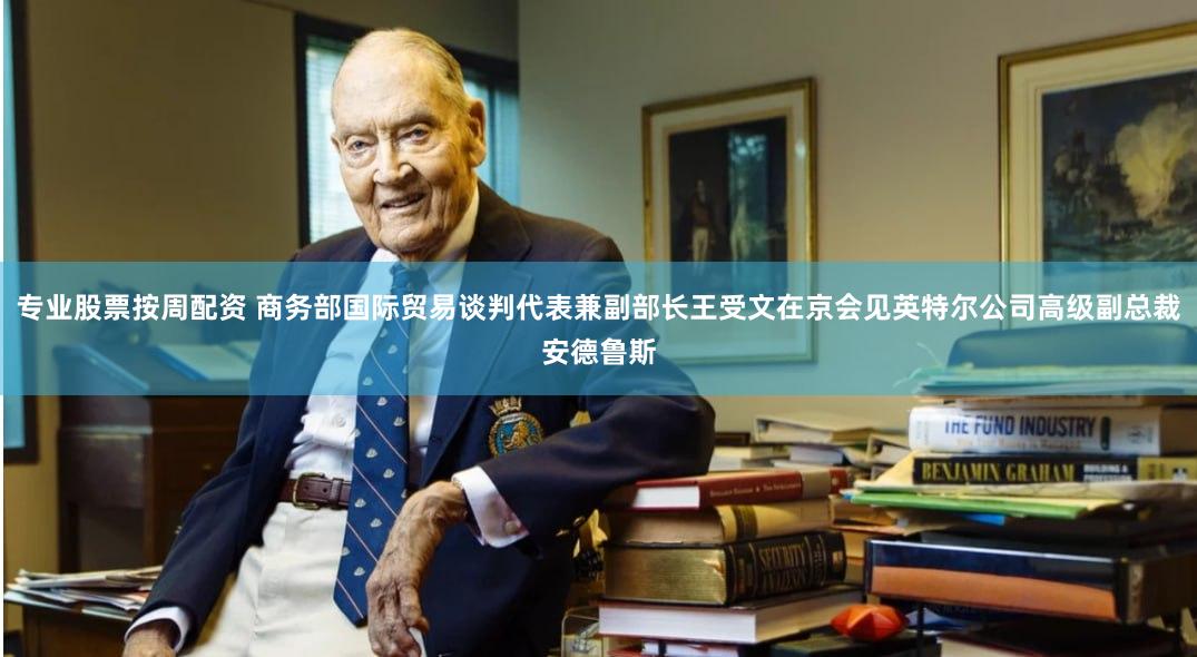 专业股票按周配资 商务部国际贸易谈判代表兼副部长王受文在京会见英特尔公司高级副总裁安德鲁斯
