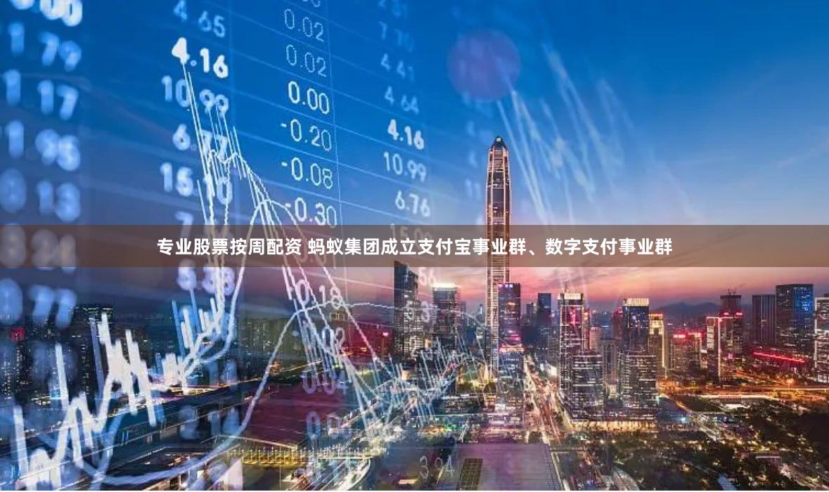 专业股票按周配资 蚂蚁集团成立支付宝事业群、数字支付事业群