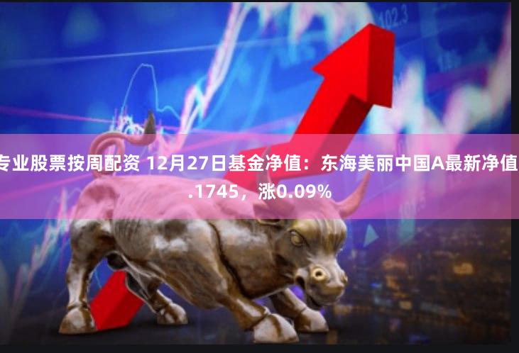 专业股票按周配资 12月27日基金净值：东海美丽中国A最新净值1.1745，涨0.09%