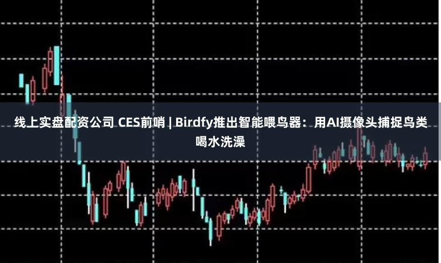 线上实盘配资公司 CES前哨 | Birdfy推出智能喂鸟器：用AI摄像头捕捉鸟类喝水洗澡