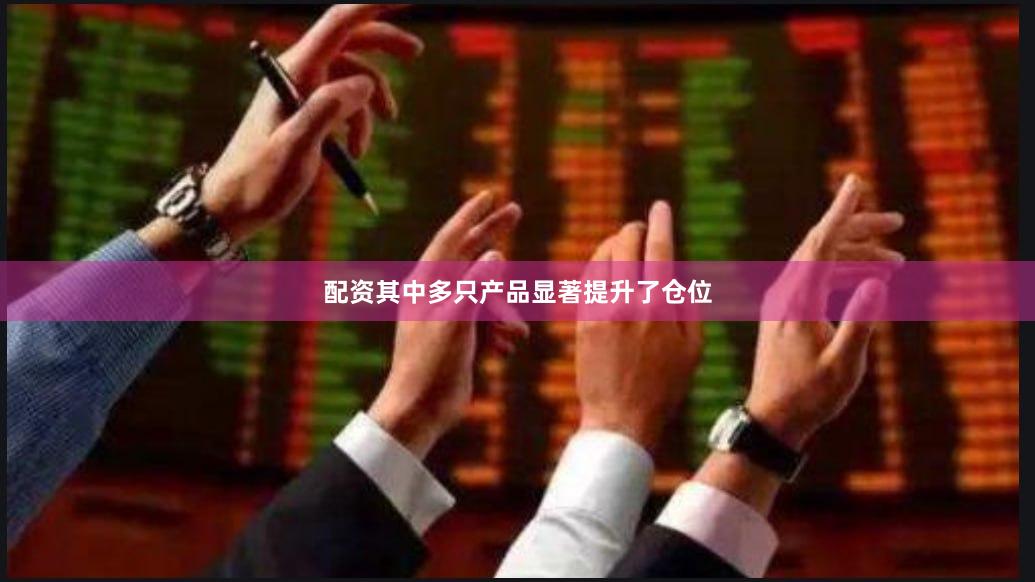 配资其中多只产品显著提升了仓位