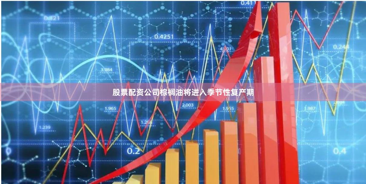 股票配资公司棕榈油将进入季节性复产期